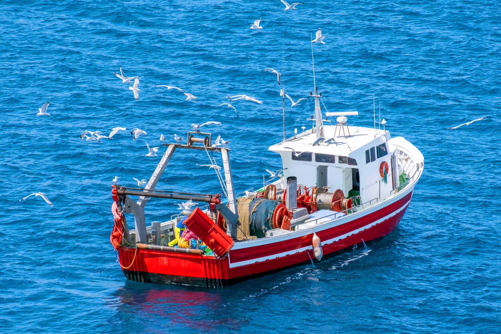 Fishing Boat Surrounded By  Seagulls