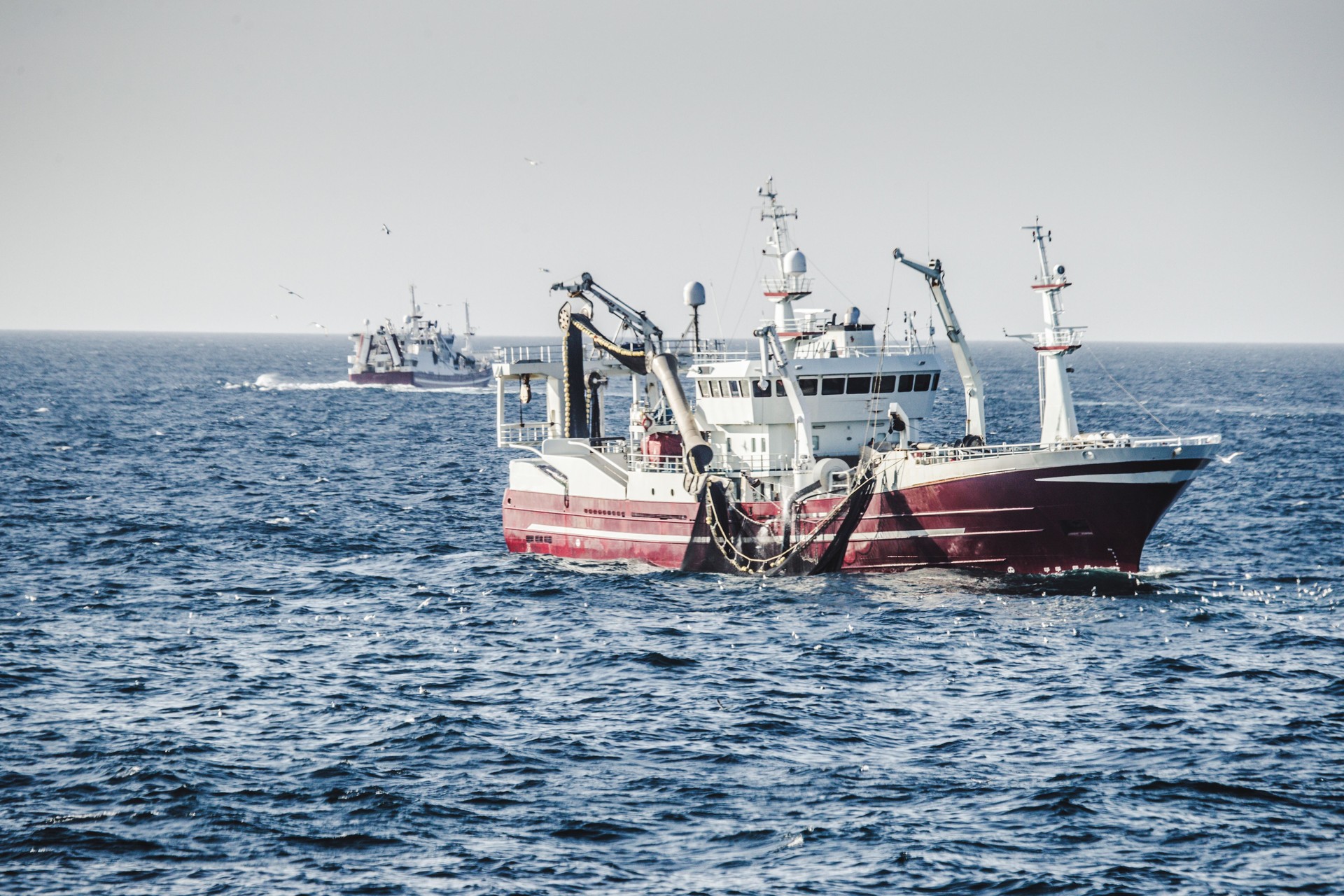 Fishing boat fishing with a purse seine